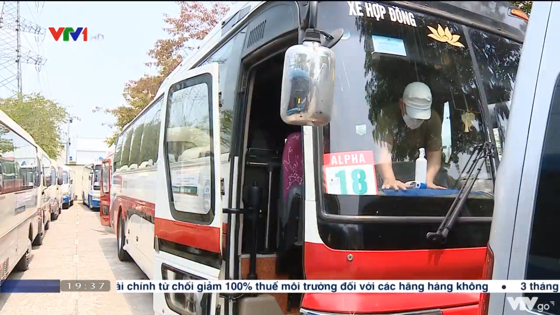 [VTV1] CÔNG TÁC CHUẨN BỊ ĐÓN HỌC SINH KHỐI 1 - 6 ĐẾN TRƯỜNG TẠI ALPHA