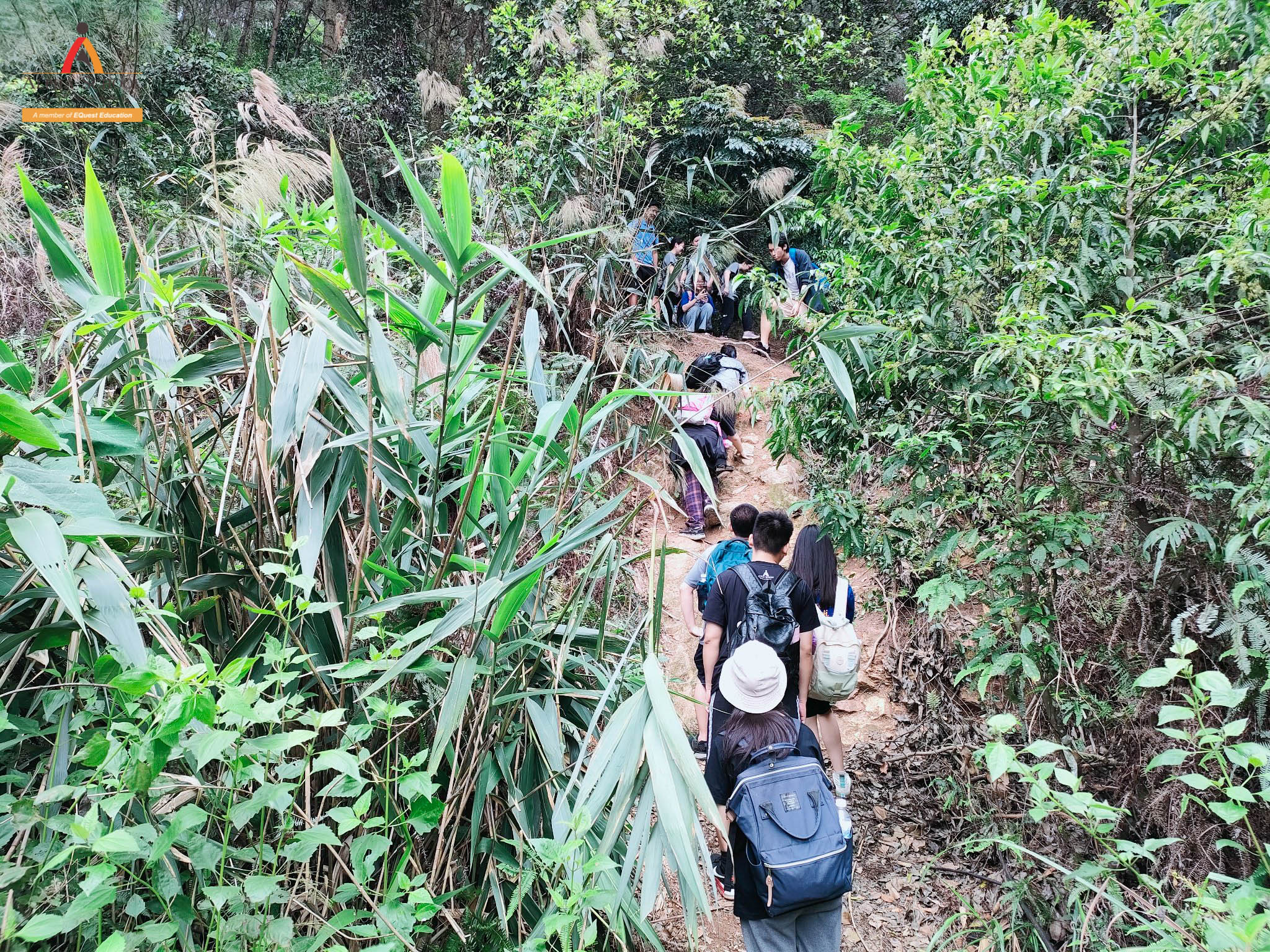 KHỐI 11, 12 VÀ CHUYẾN TREKKING ĐẦY CẢM XÚC TẠI NÚI HÀM LỢN - SÓC SƠN