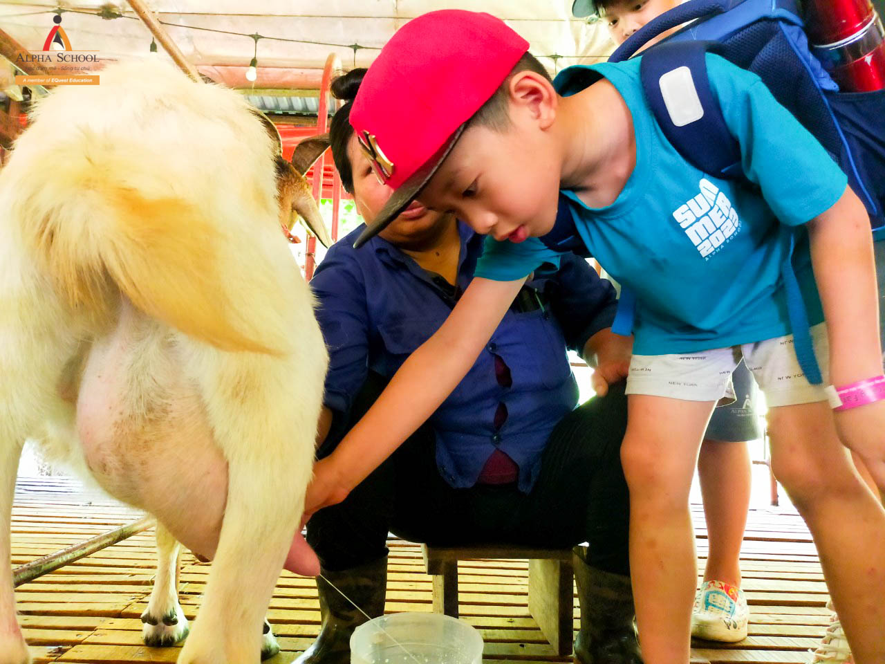 [SUMMER ENGLISH IMMERSION] ALPHAERS HÒA MÌNH VÀO THIÊN NHIÊN TẠI DETRANG FARM