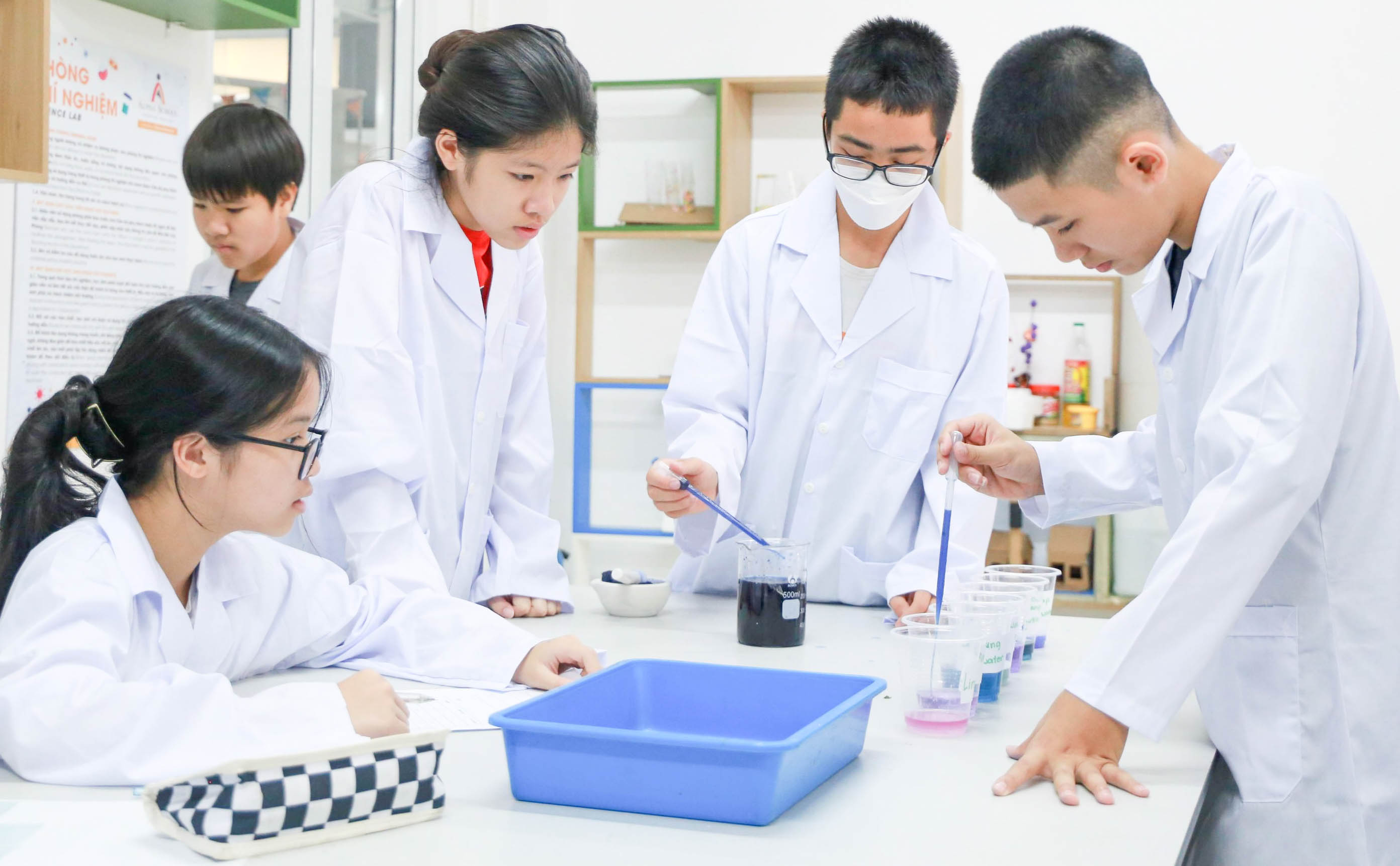 437773674 412981181490654 6042503179023450274 n