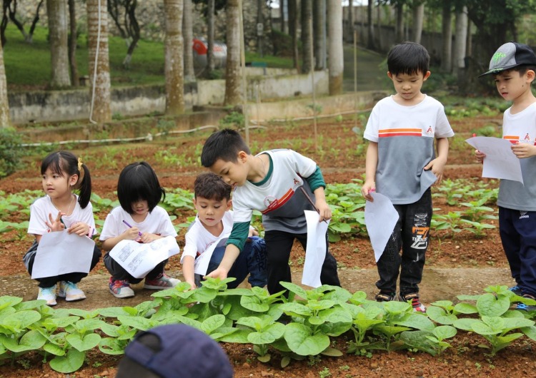 lop-hoc-hanh-phuc Lứa tuổi vui tươi, luôn tò mò về thế giới xung quanh
