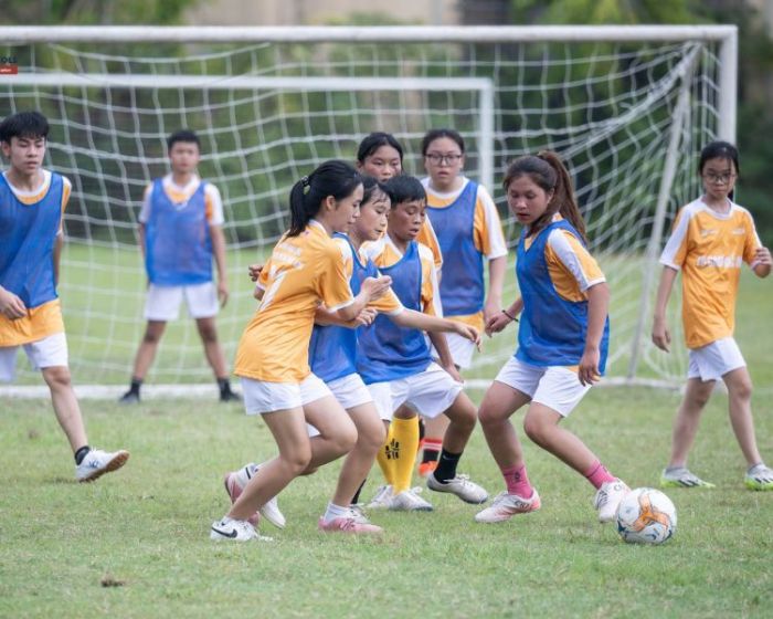 news 0.273281001707120267