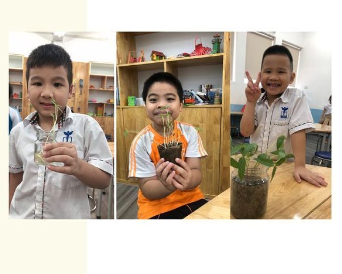 news 0.259177001700618694 1