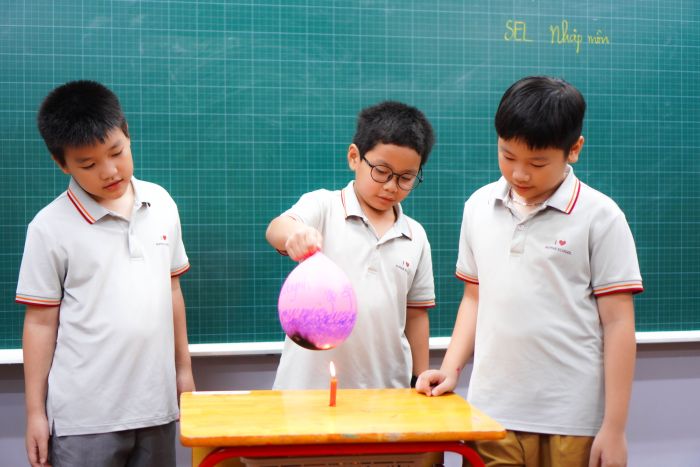 news 0.798300001724028229